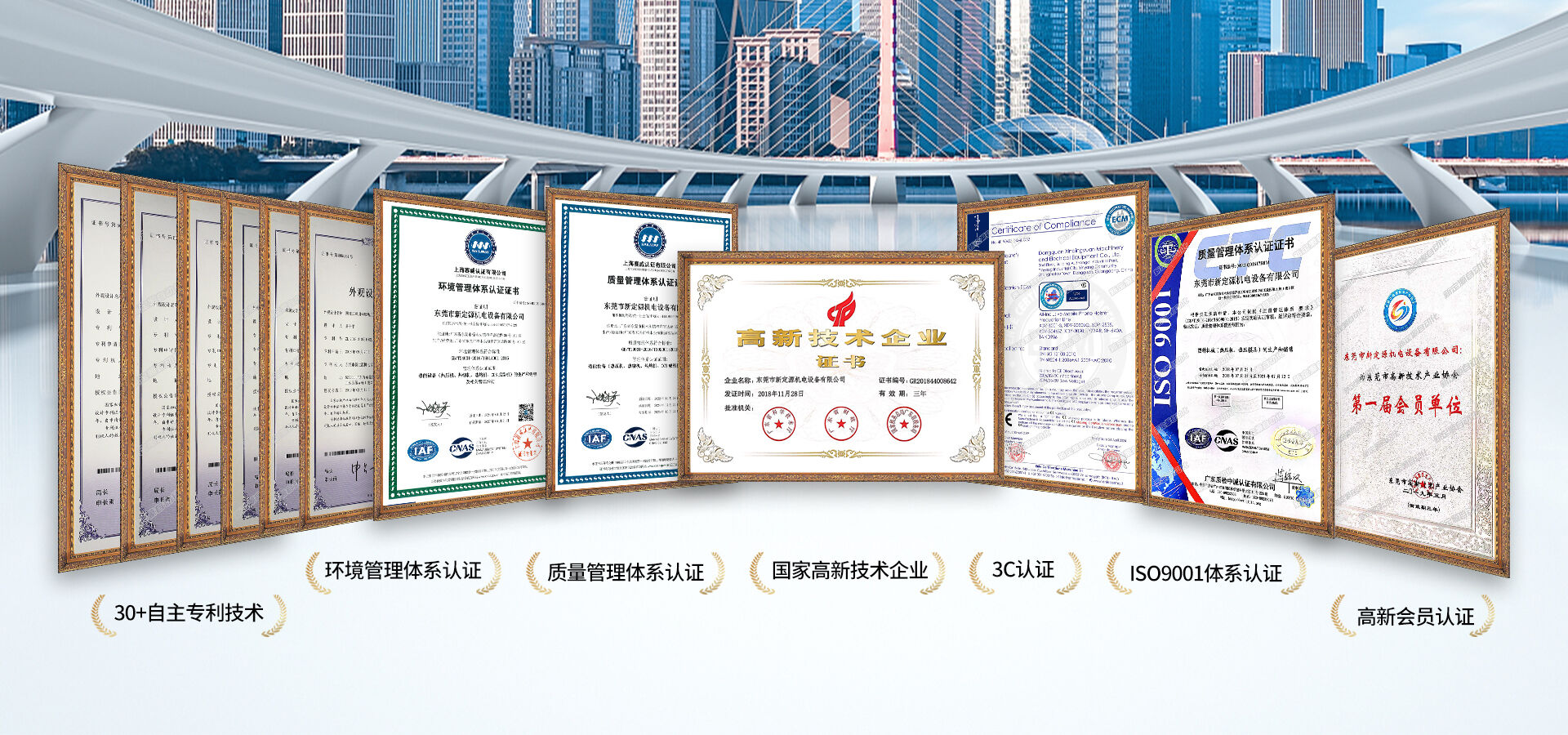 Honors & Qualifications